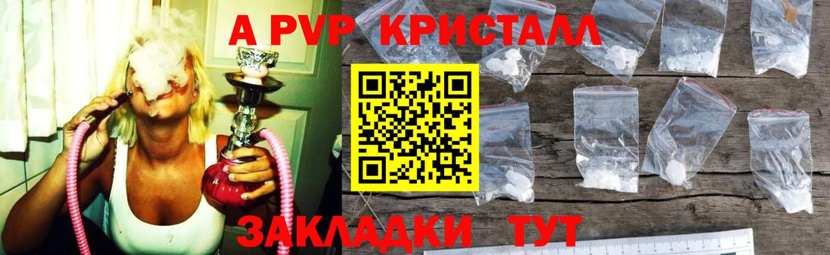 А ПВП СК Кузнецк