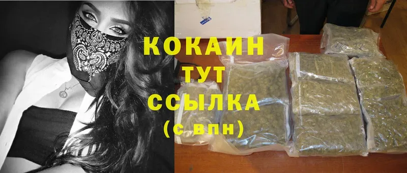 Cocaine Fish Scale  МЕГА tor  мориарти клад  Кузнецк 