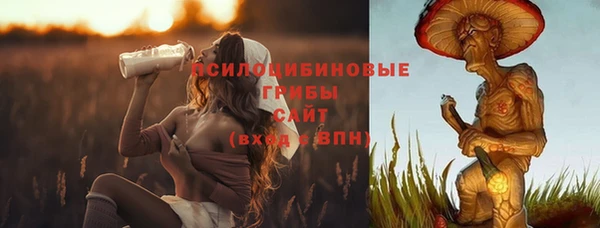 PSILOCYBIN Пестово