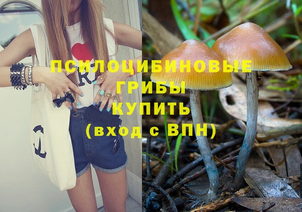 PSILOCYBIN Пестово