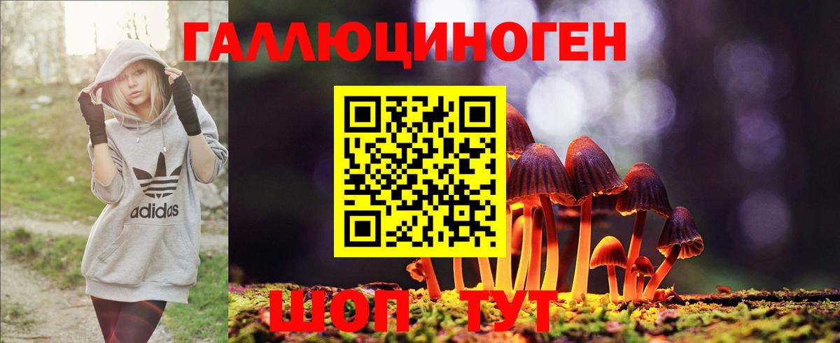 Псилоцибиновые грибы мухоморы  Вход с VPN  закладка  Кузнецк 